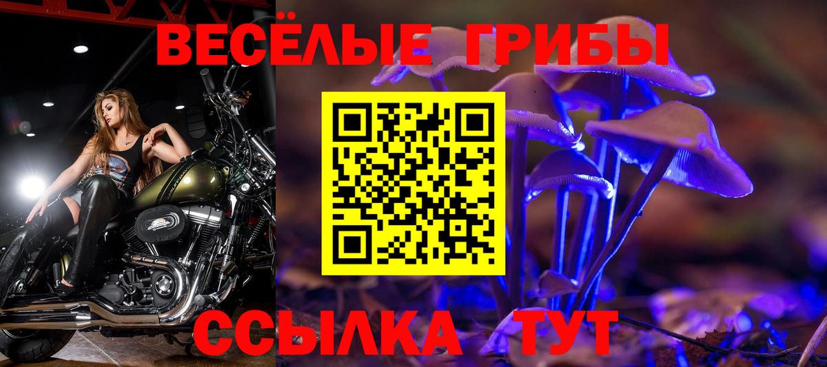 Галлюциногенные грибы Psilocybine cubensis Родники