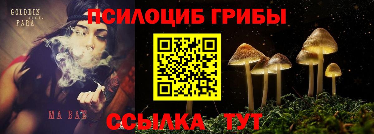 Родники  Галлюциногенные грибы Cubensis  Вход с VPN  Псилоцибиновые грибы прущие грибы 